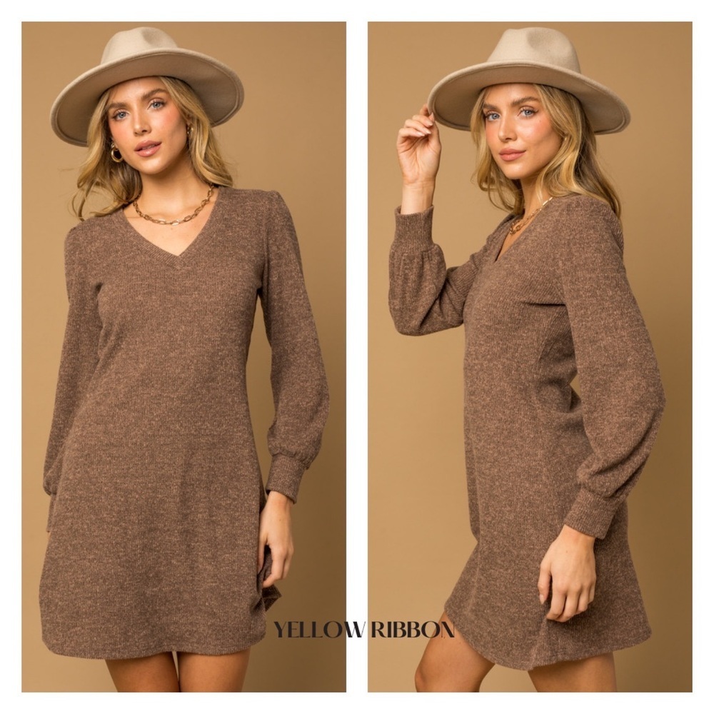 NEW Long Sleeve V-Neck Mini Dress